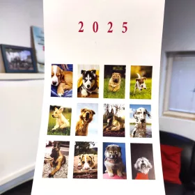 Hunde Weilpen Kalendar 2025