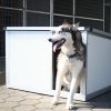 Thermo Renato Hundehütte mit INFRAHEIZUNG