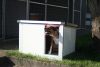 Thermo Renato Hundehütte "S" (LxBxH:66x46x40cm)