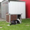 Thermo WOODY Hundehütte "L" innengrösse (LxBxH:84x56x49cm)