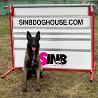 Hundesport